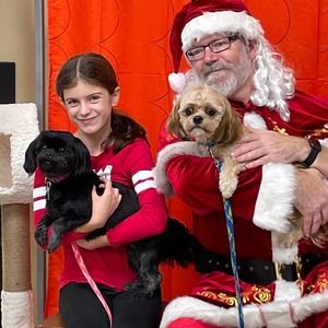 Meet your Posher, Dina